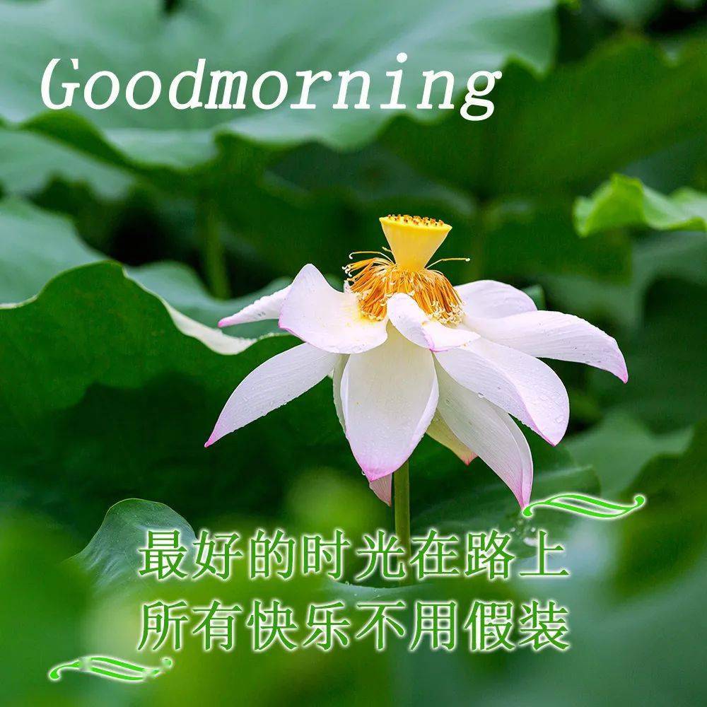 时时乐开奖视频时时乐，乐在其中，抽奖时刻-第2张图片