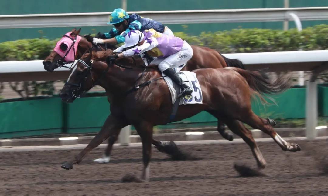 香港开马开奖现场直播下载香港开马开奖现场直播下载-第1张图片