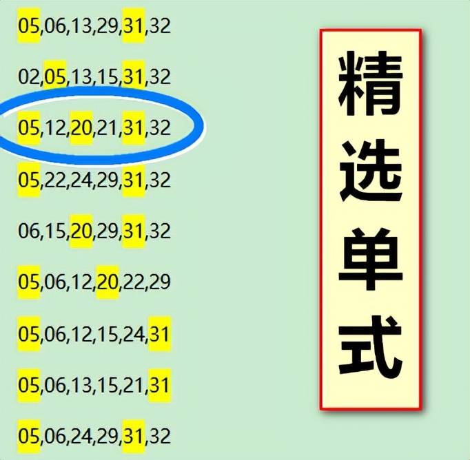 2码出特2码出特，精准预测与策略-第2张图片