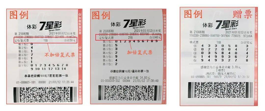 七星彩票软件，便捷购彩新选择