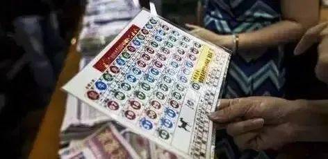 彩库网彩库网，数字时代的资源宝库-第2张图片