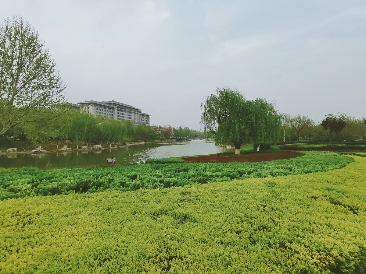 乐安论坛乐安论坛，探讨社区交流与信息共享的平台