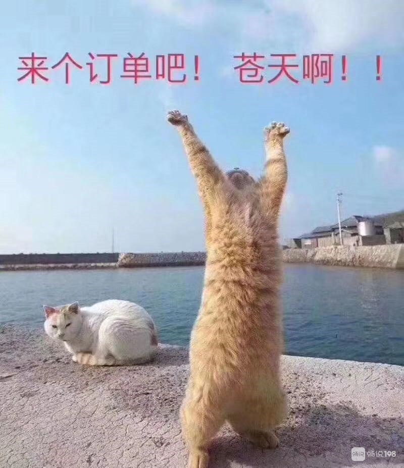 8888耶耶耶耶8888.ye，数字背后的故事与启示-第2张图片