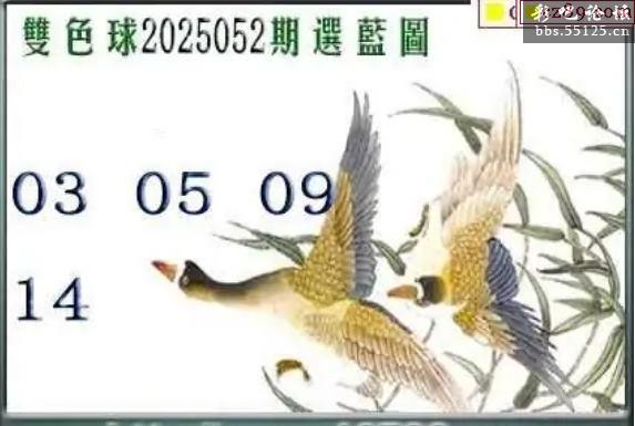 中国彩吧55125，彩市风云下的探索与机遇-第1张图片