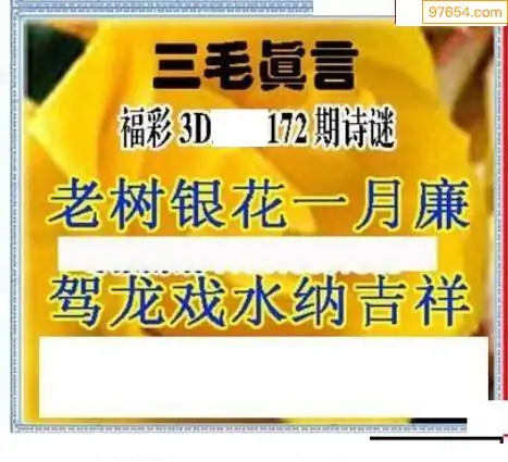 三毛图库3d图库大全三毛图库3D，探索数字艺术的新世界