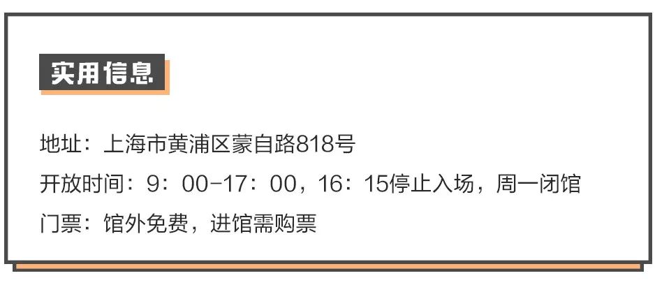 新奥门特免费资料大全，火凤凰的神秘资料库