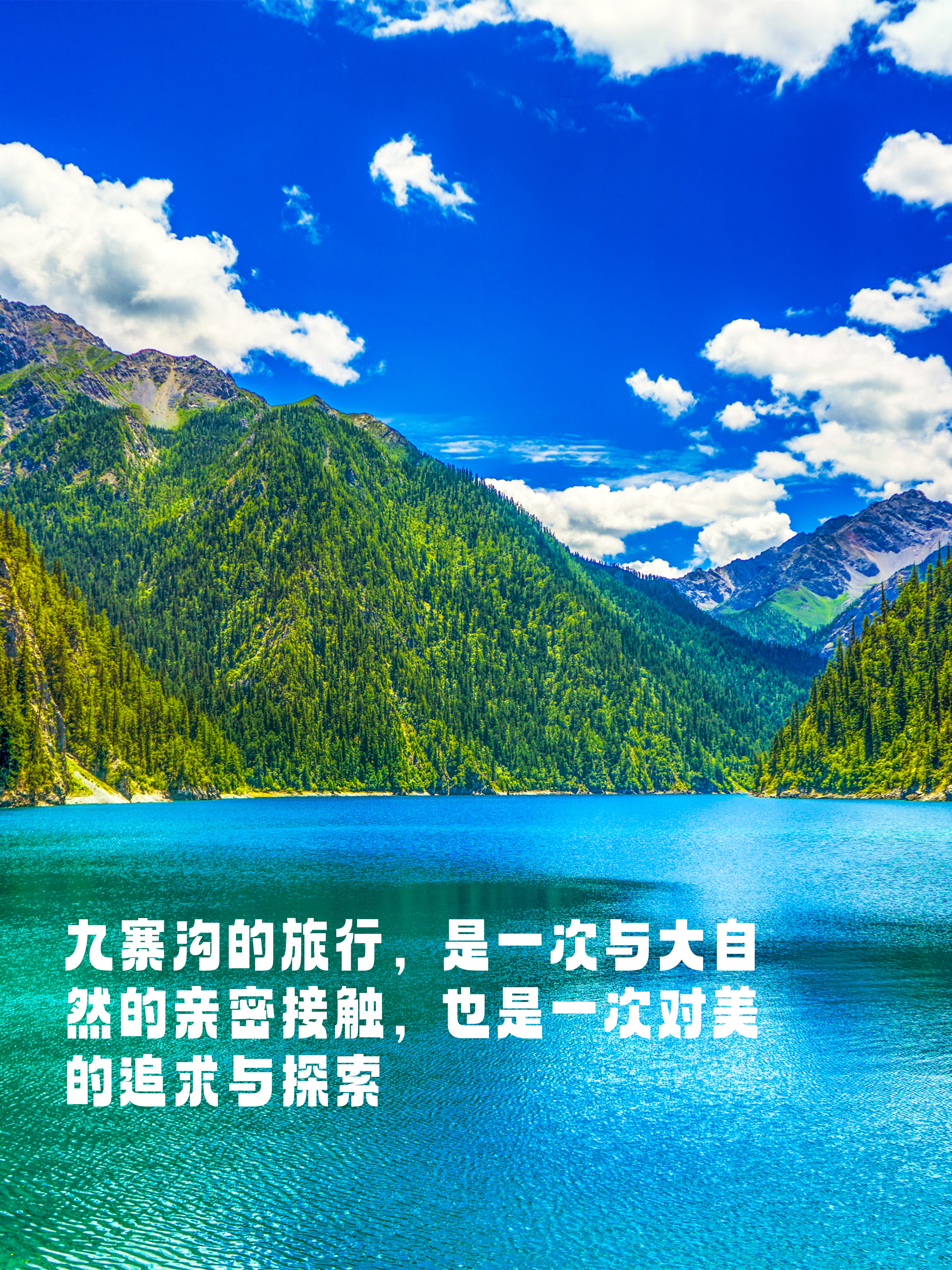 博亚网博亚网，网络世界的璀璨明珠