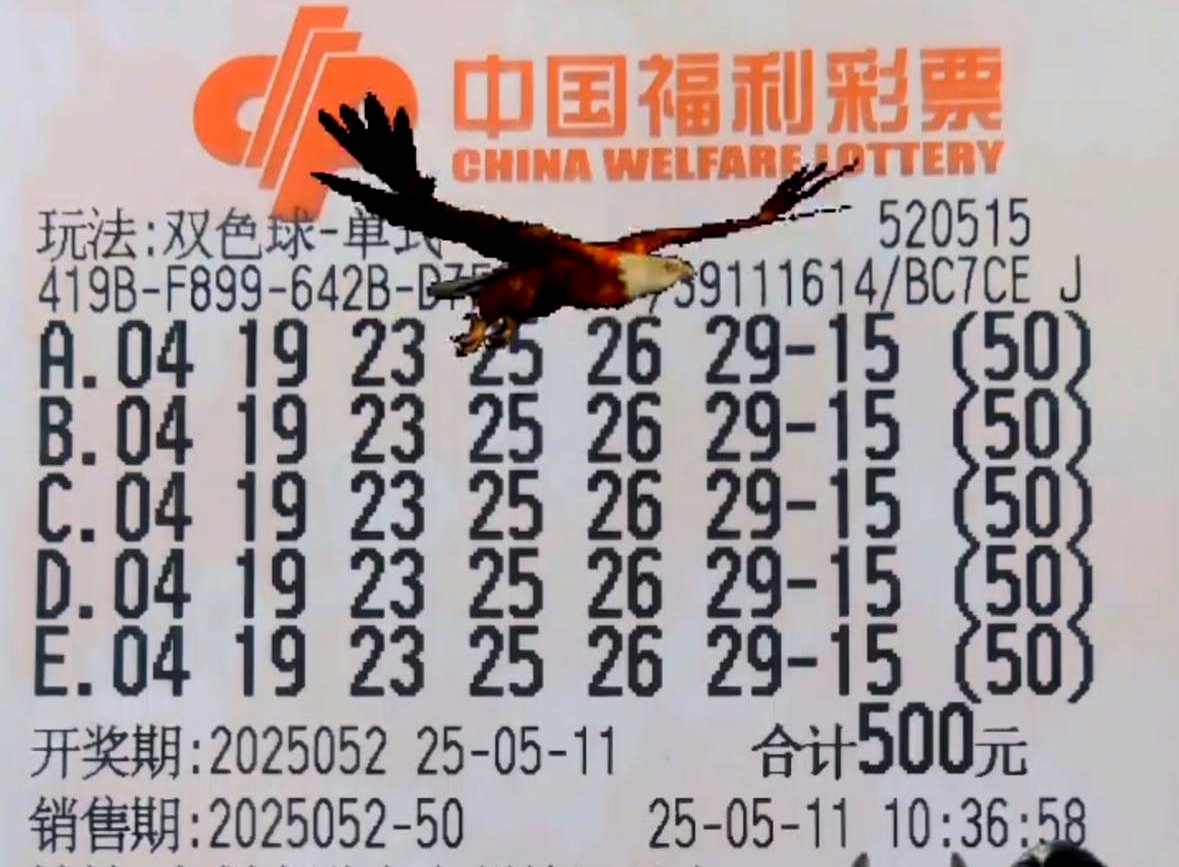 彩票高手网有用吗高手彩票，揭秘彩票投注技巧与策略