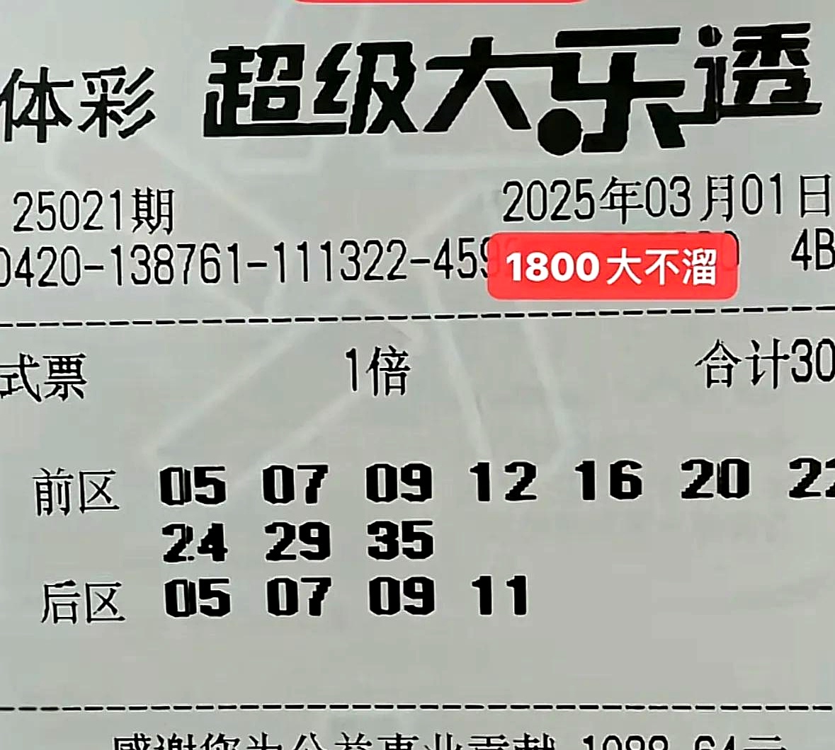 大乐透新浪彩票大乐透新浪彩票，新机遇与挑战