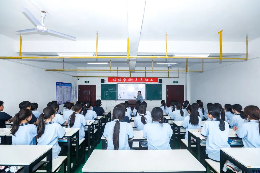 168图库助手探索168图库助手，智能工具的魅力与便捷