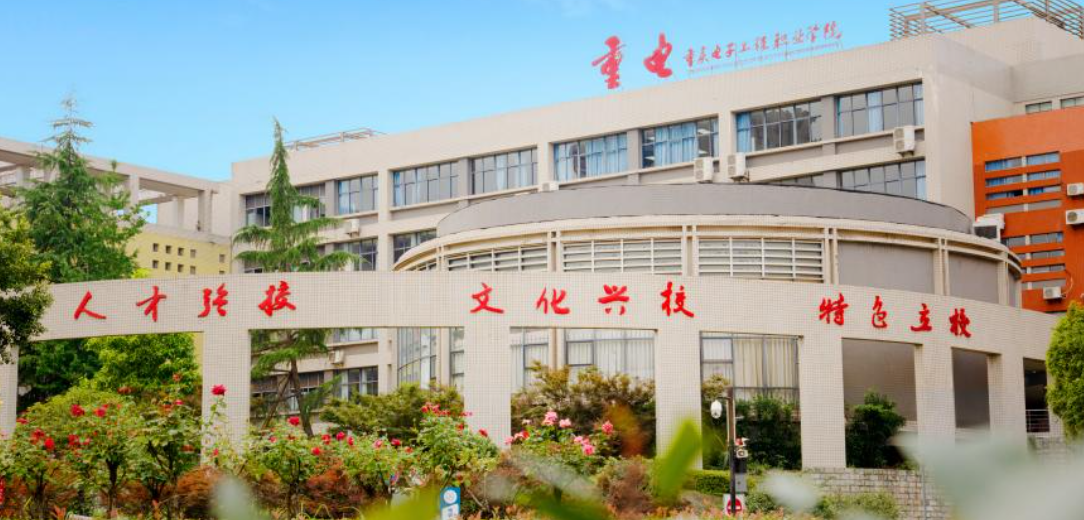 金彩网，引领数字时代的璀璨明珠-第2张图片