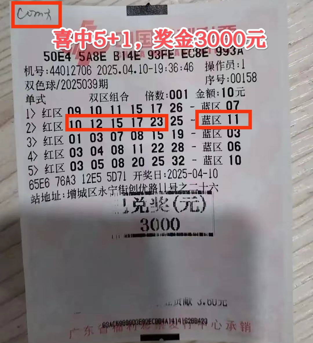 双色球开奖号码开奖结果今天双色球开奖号码开奖结果揭晓-第2张图片
