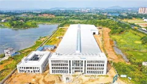 比思论坛 特区 西方美人比思论坛特区，探索创新与发展的新天地-第1张图片