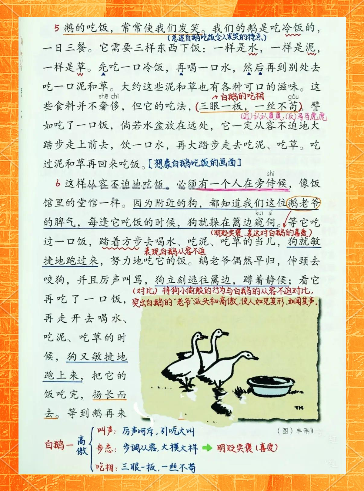 白天鹅高手论坛白天鹅高手论坛，探索天鹅界的精英之路