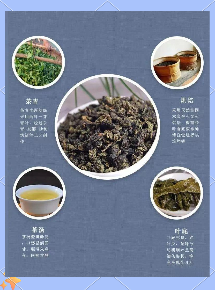 白芽奇兰是什么茶白芽奇兰，兰花中的珍品