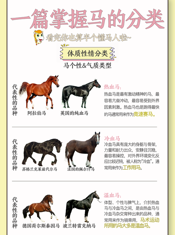 正版马会精选资料大全-第2张图片