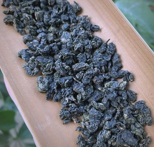 白芽奇兰白芽奇兰，兰花中的珍品-第3张图片