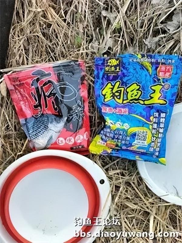 钓鱼王论坛入口登录方法钓鱼王论坛，探索钓鱼爱好者的交流平台