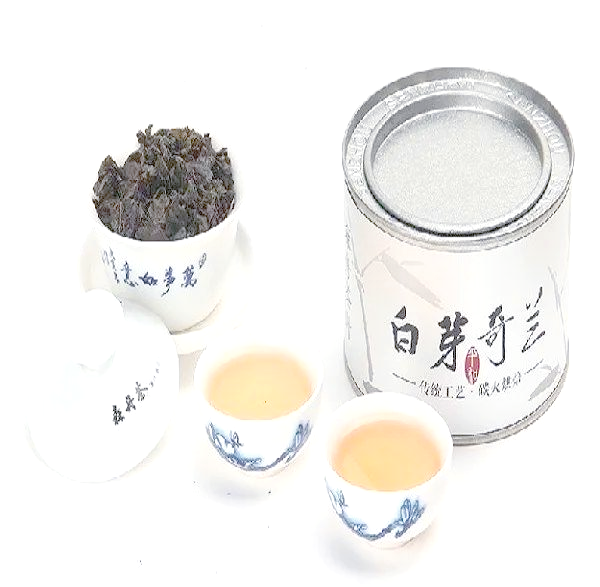 白芽奇兰是什么茶白芽奇兰，兰花中的珍品-第2张图片