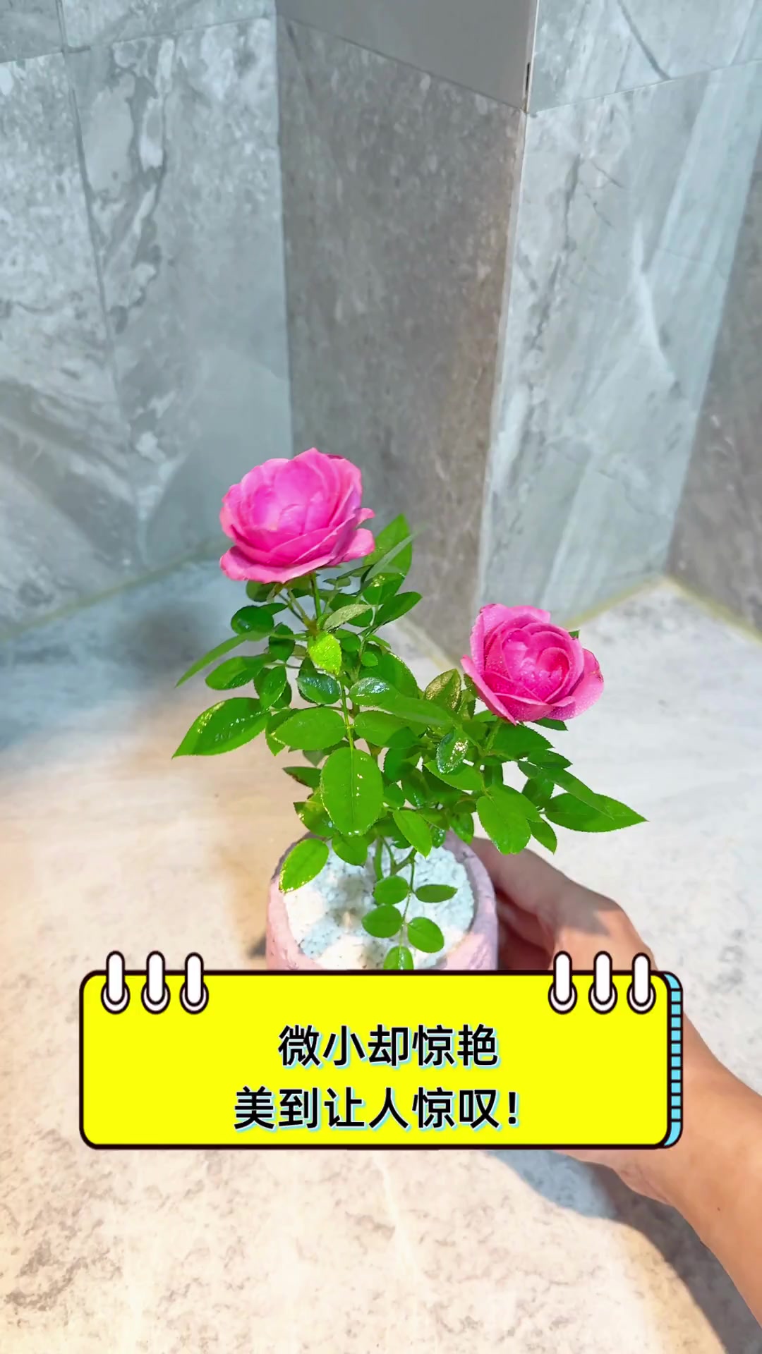 微小女友-第2张图片