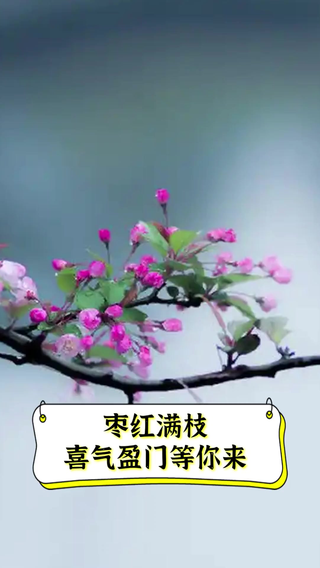 红满堂论坛，探索网络交流的新天地-第1张图片
