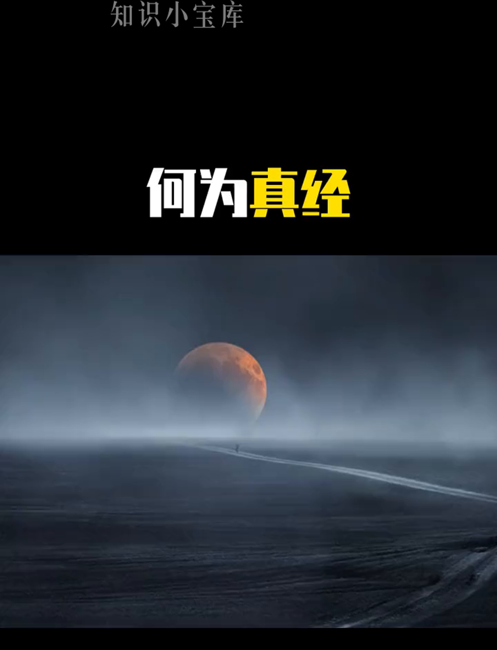 真正老道真正老道-第1张图片