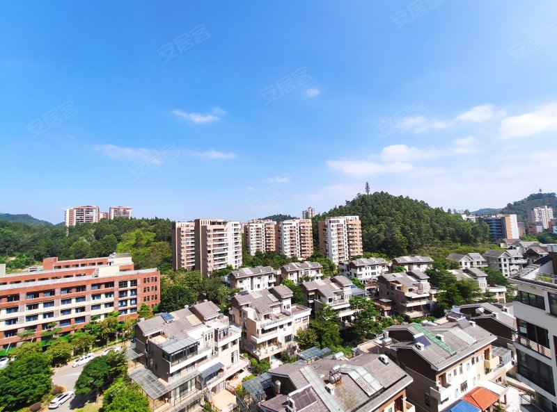 金榜路可靠吗金榜路，辉煌之路