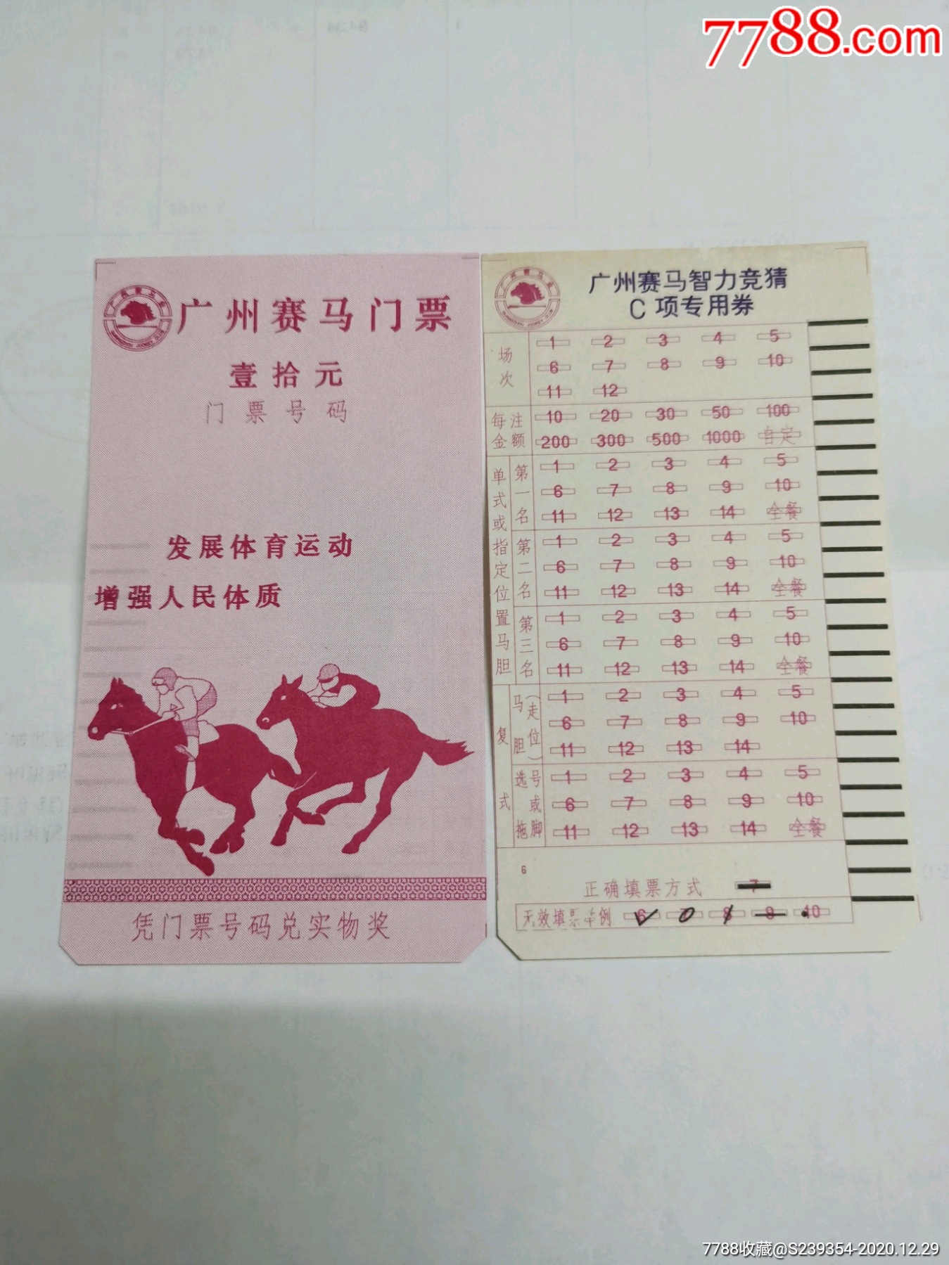 赛马彩票，探索彩票市场的魅力