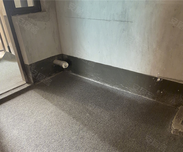 九龙内幕报九龙内幕报，揭秘城市秘密