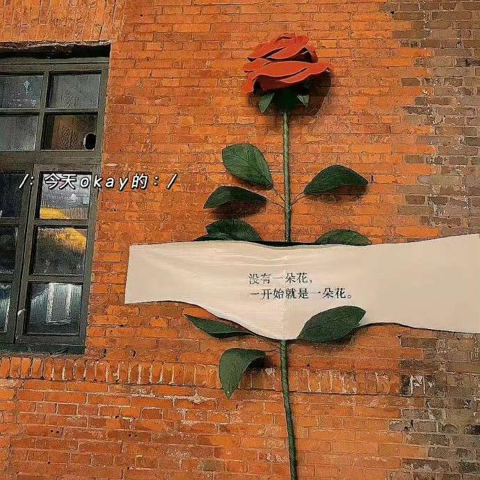 小马哥心水论坛，探索网络交流的新天地