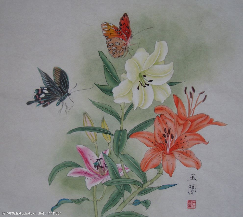 百合心水图库百合心水图库，探寻艺术之美