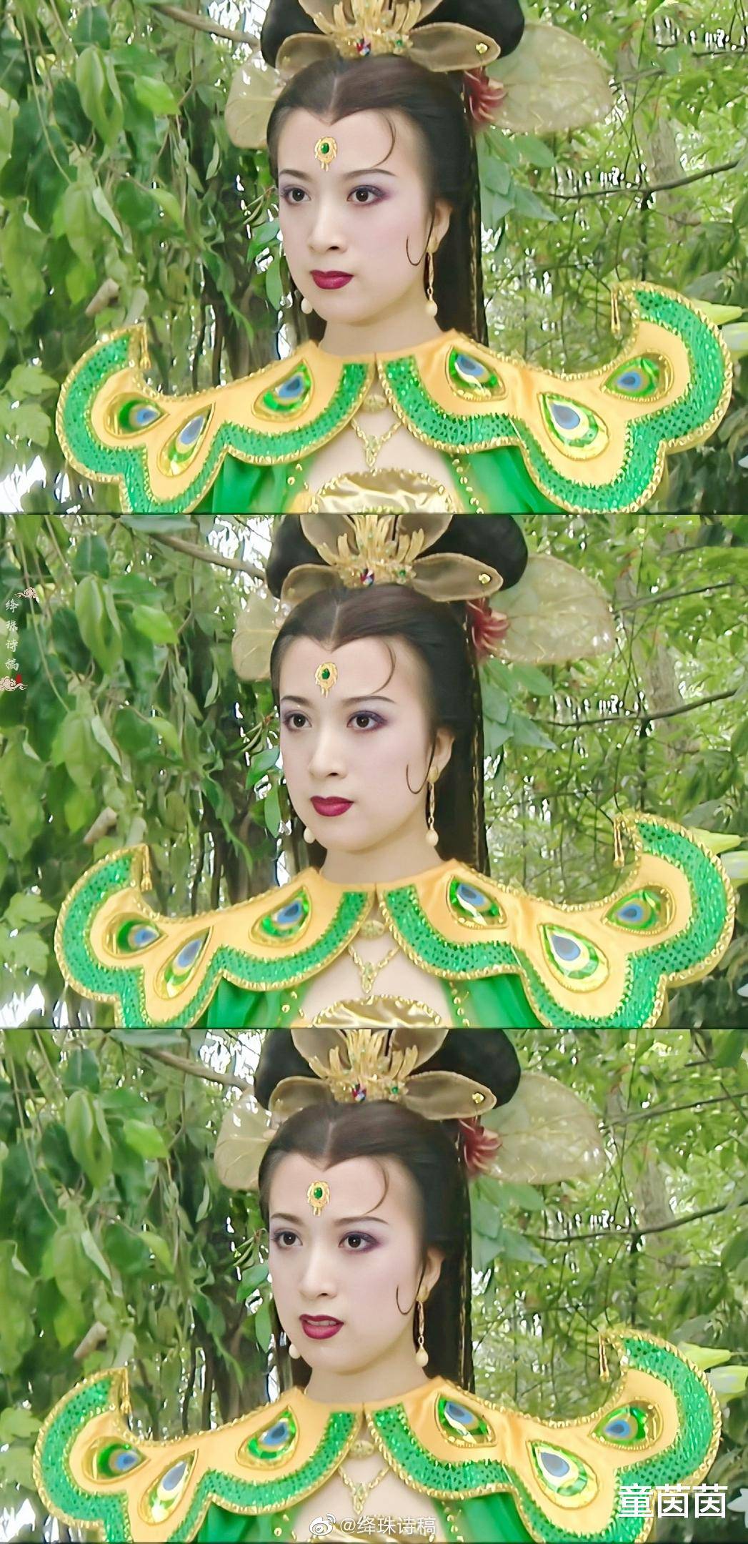 傅艺伟与金巧巧，演艺界的璀璨明珠