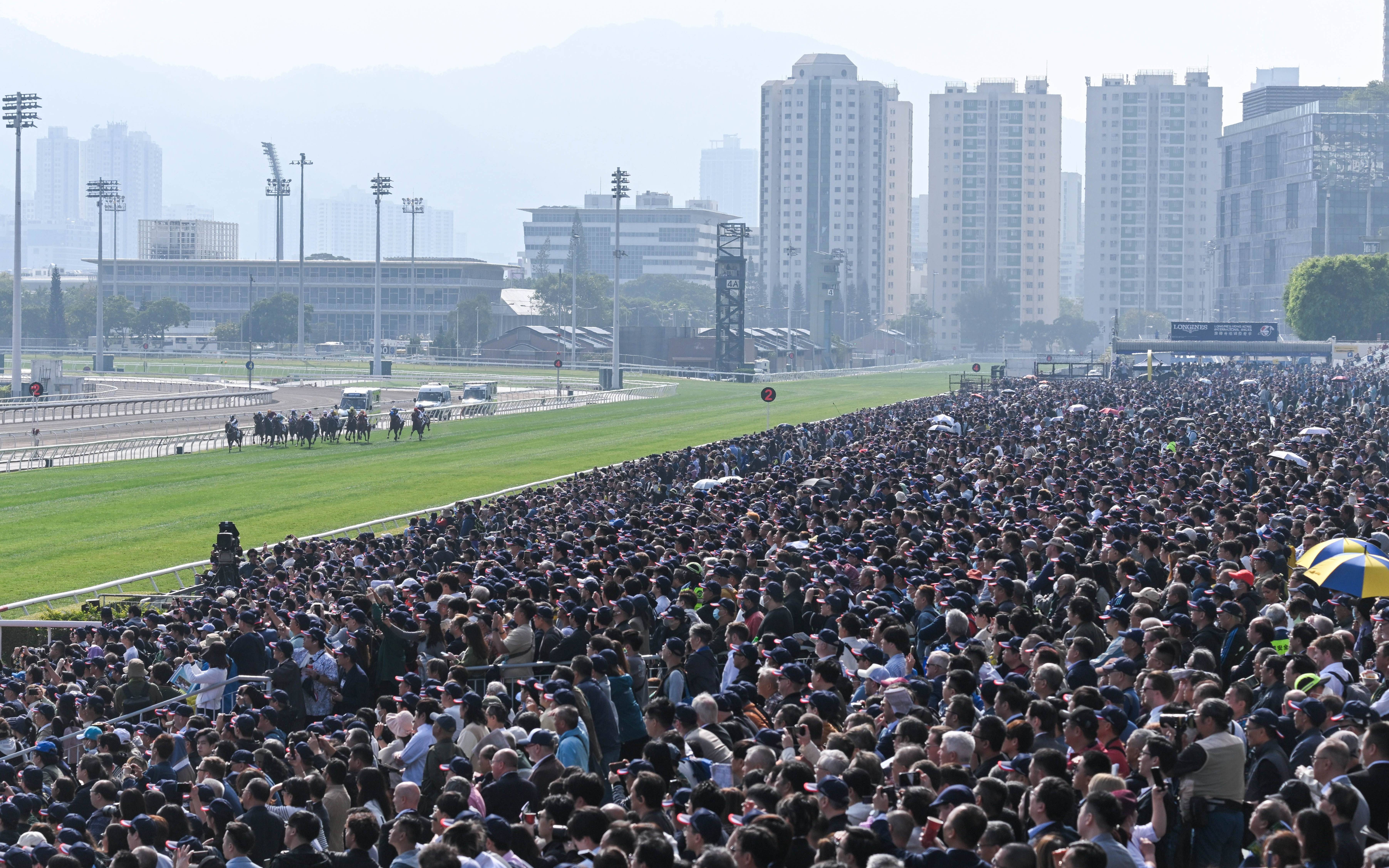 香港赛马会排位香港赛马会排位，赛马运动的荣耀与挑战