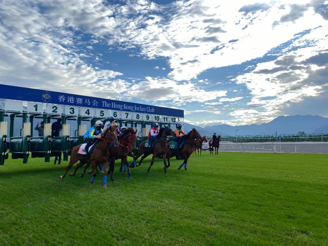 2021年马会正版香港资料大全