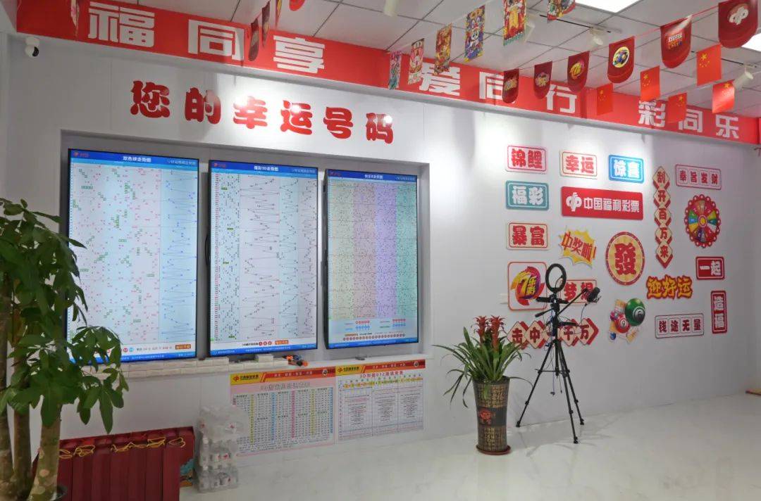 福彩网站，探索数字彩票的神秘世界