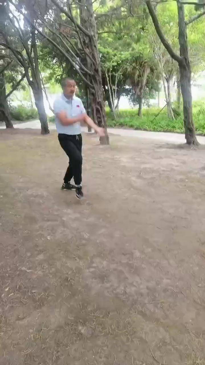 六合拳彩六合拳彩，传统武术的魅力与幸运