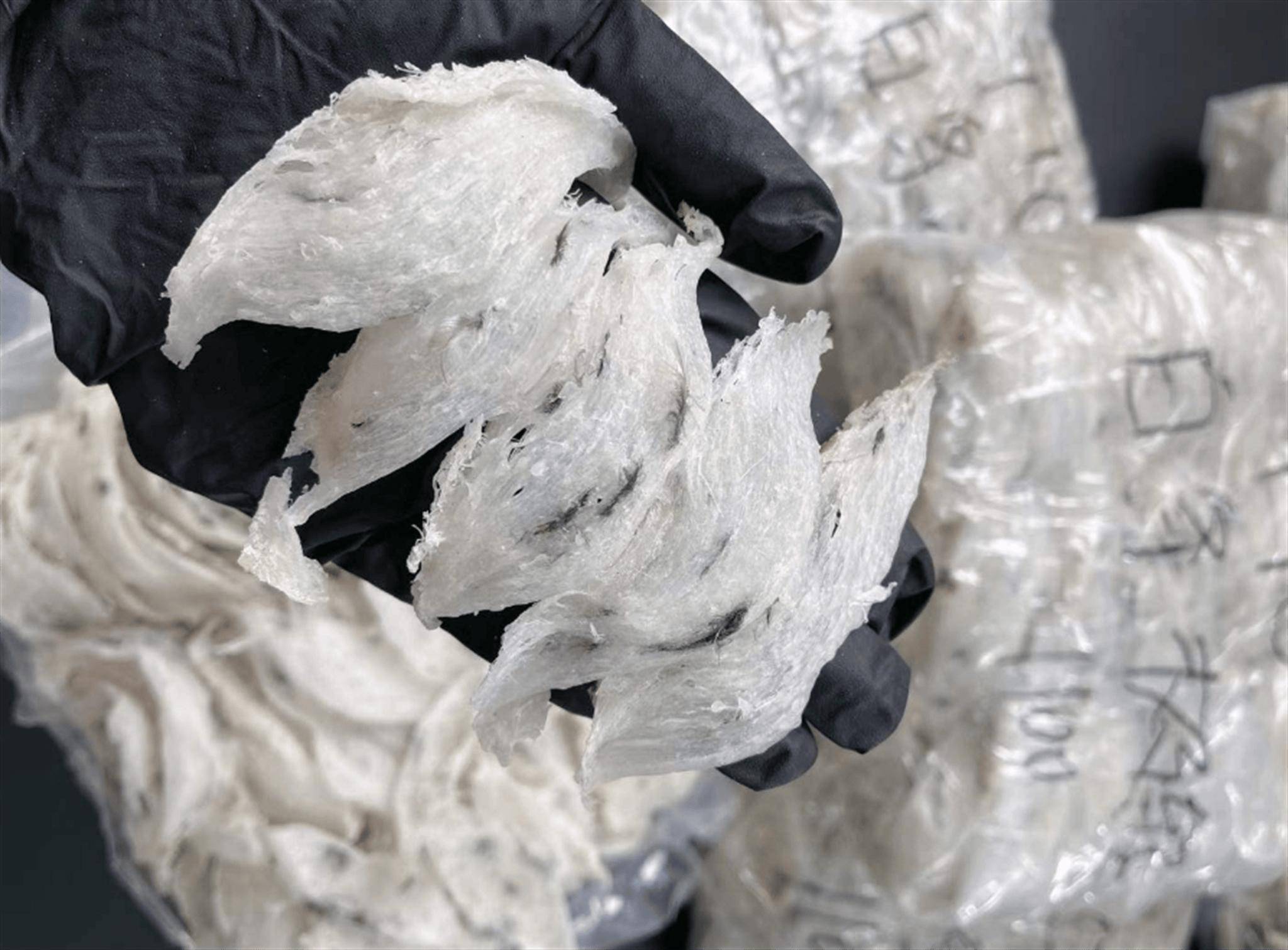 金丝燕窝，天然珍品的美妙之旅-第2张图片
