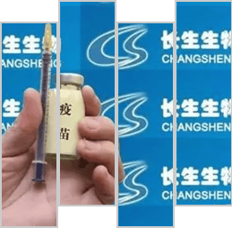 百家乐网络，风险与机遇并存