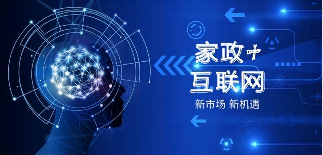 155755金牛网站香港，探索数字时代的商业机遇-第1张图片