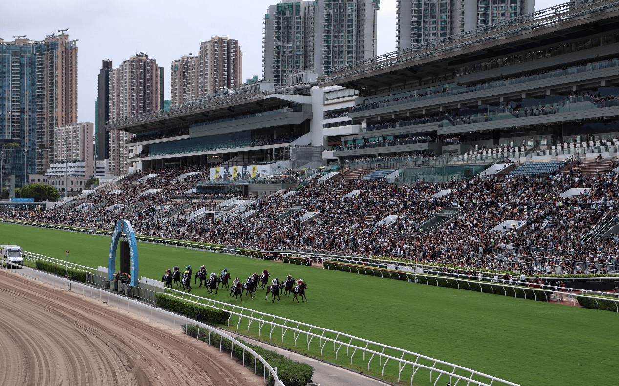 香港赛马会最准资料免费资料香港赛马会最准资料免费资料介绍-第2张图片