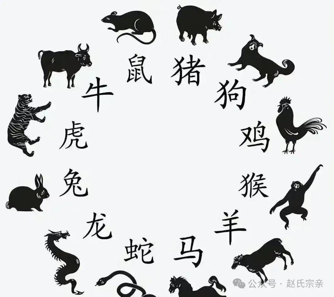 2024生肖排码表图详解