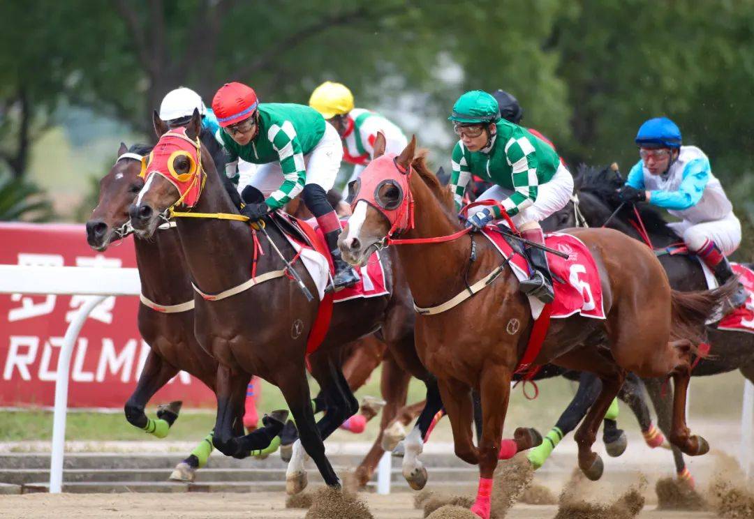 香港赛马协会有限公司香港赛马协会，引领香港赛马文化的新篇章