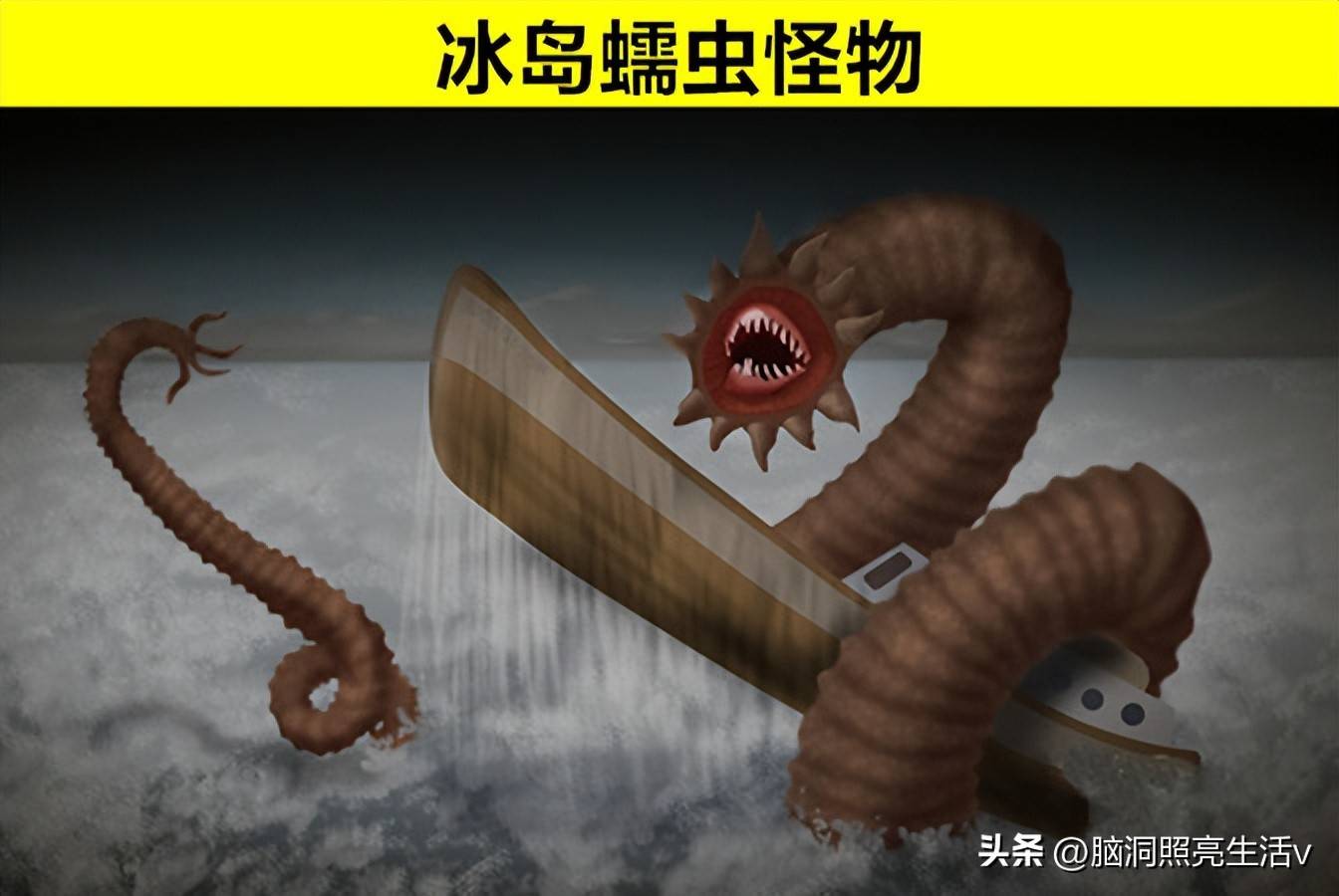 吼吼鲸吼吼鲸，海洋中的神秘生物-第2张图片