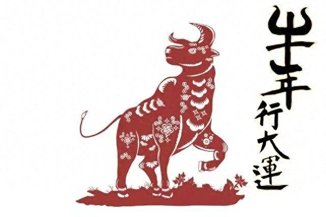 2025港资料免费大全香港开奖直播，揭晓幸运时刻-第3张图片