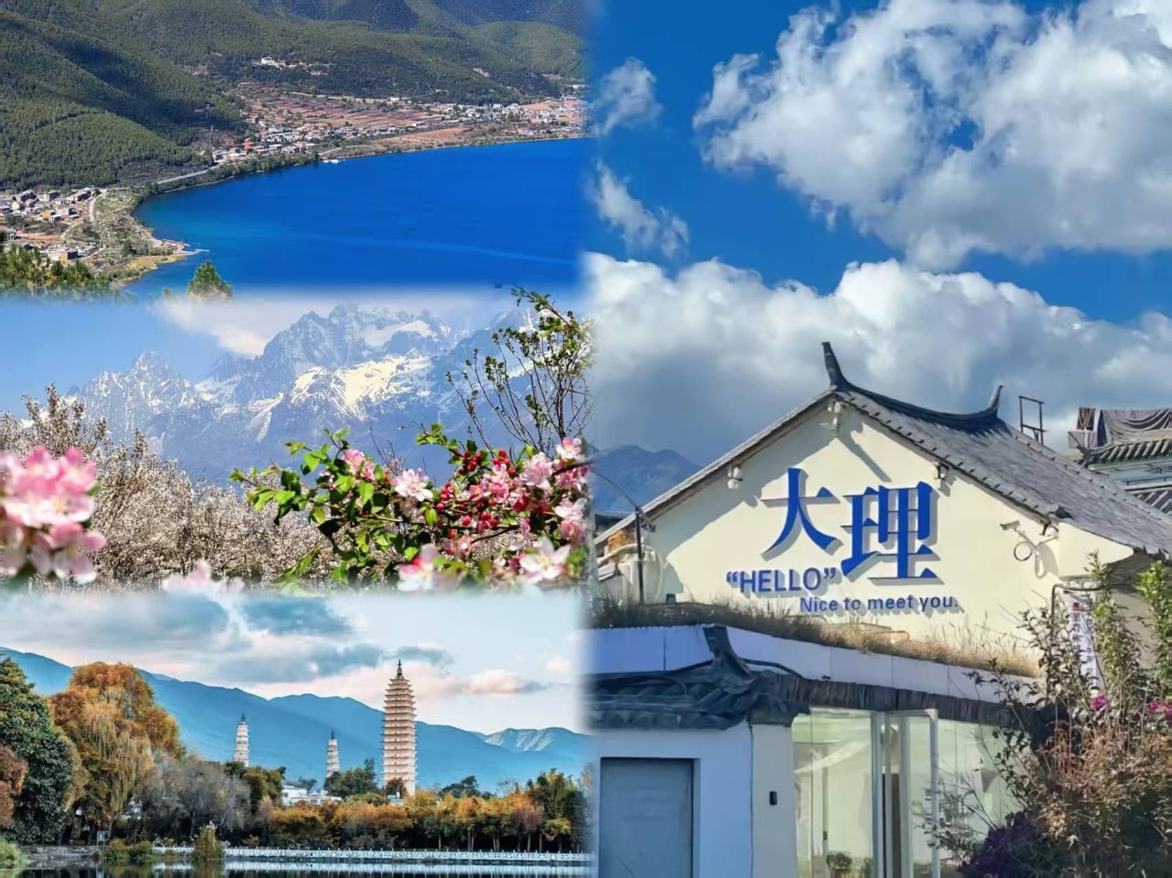 云南青年旅行社官网云南青年旅行社，探索云南旅游的新篇章