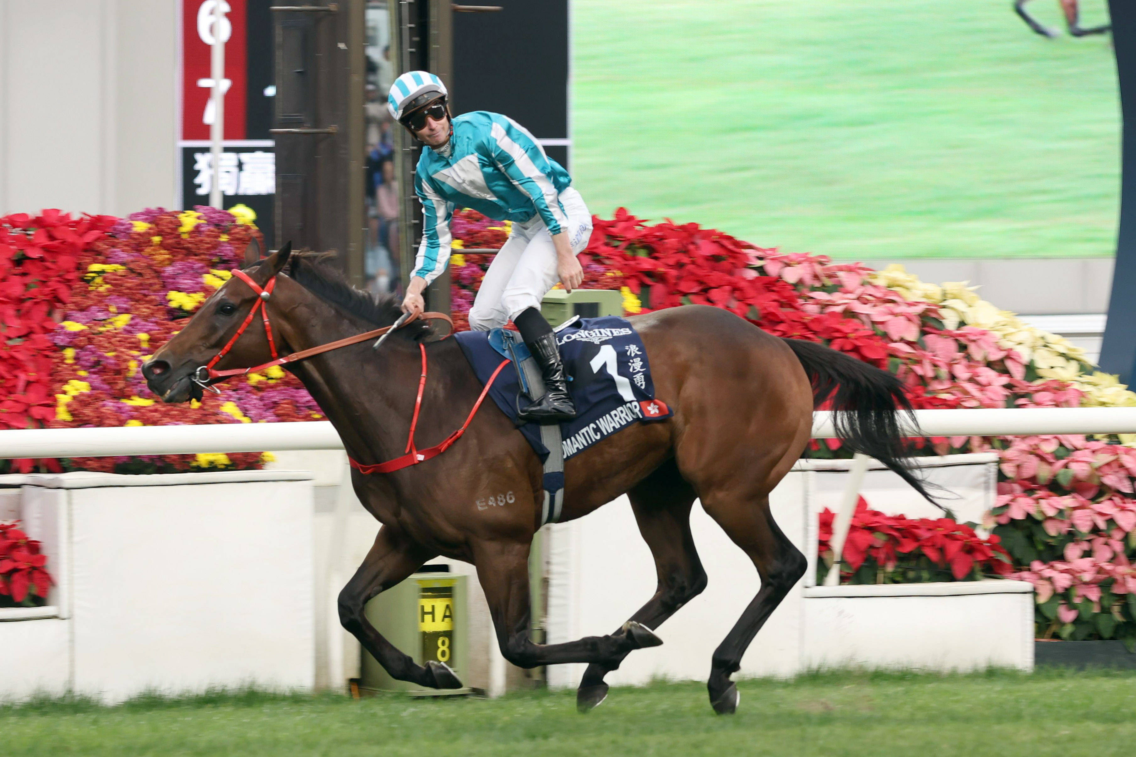 香港赛马会精选资料大全特色香港赛马会精选资料大全-第2张图片
