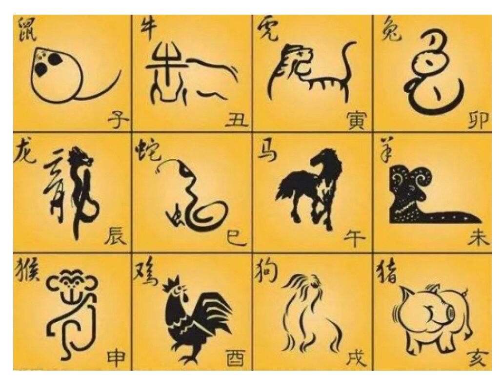 2019生肖号码表-第3张图片