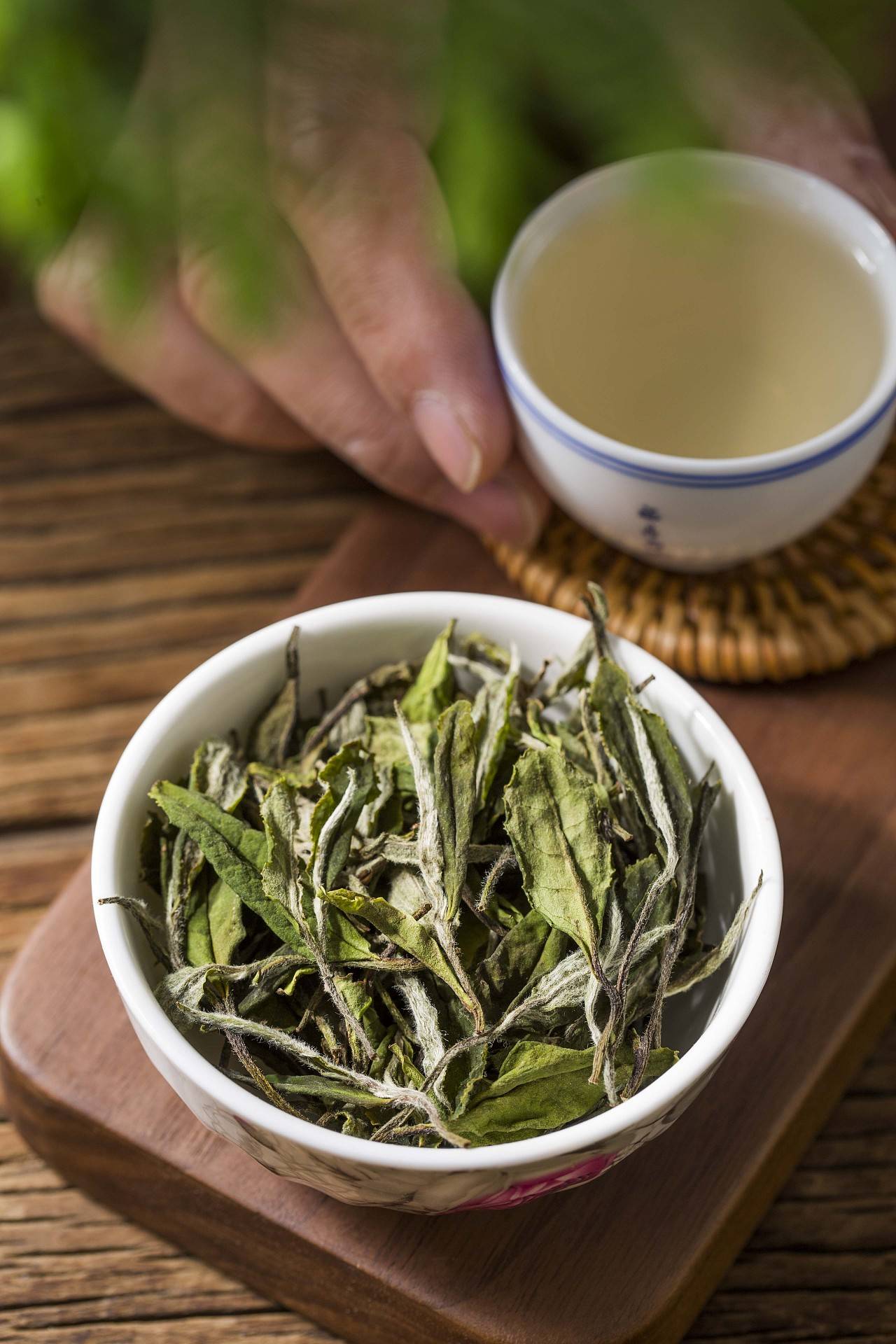 白茶最有名的是白茶最出名的是哪几种