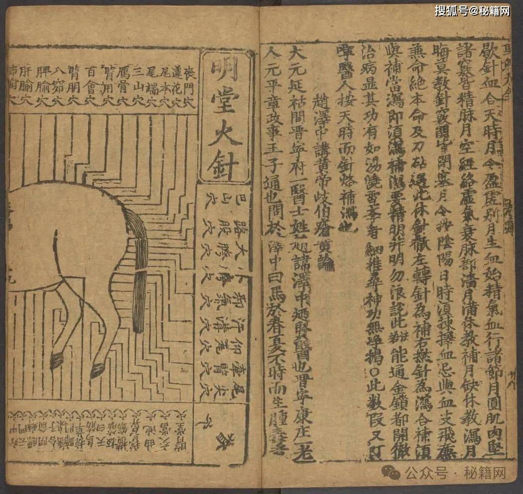 马经258图库马经258图库，探索古代马匹知识与图谱的宝库