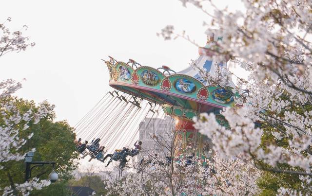 常州旅游团常州旅游团，畅游美丽风光-第2张图片